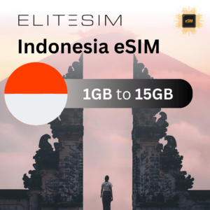 International eSIM for Indonesia